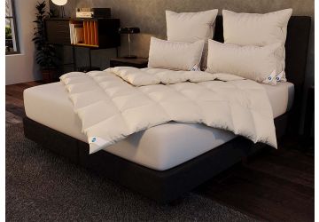 DIE DECKE